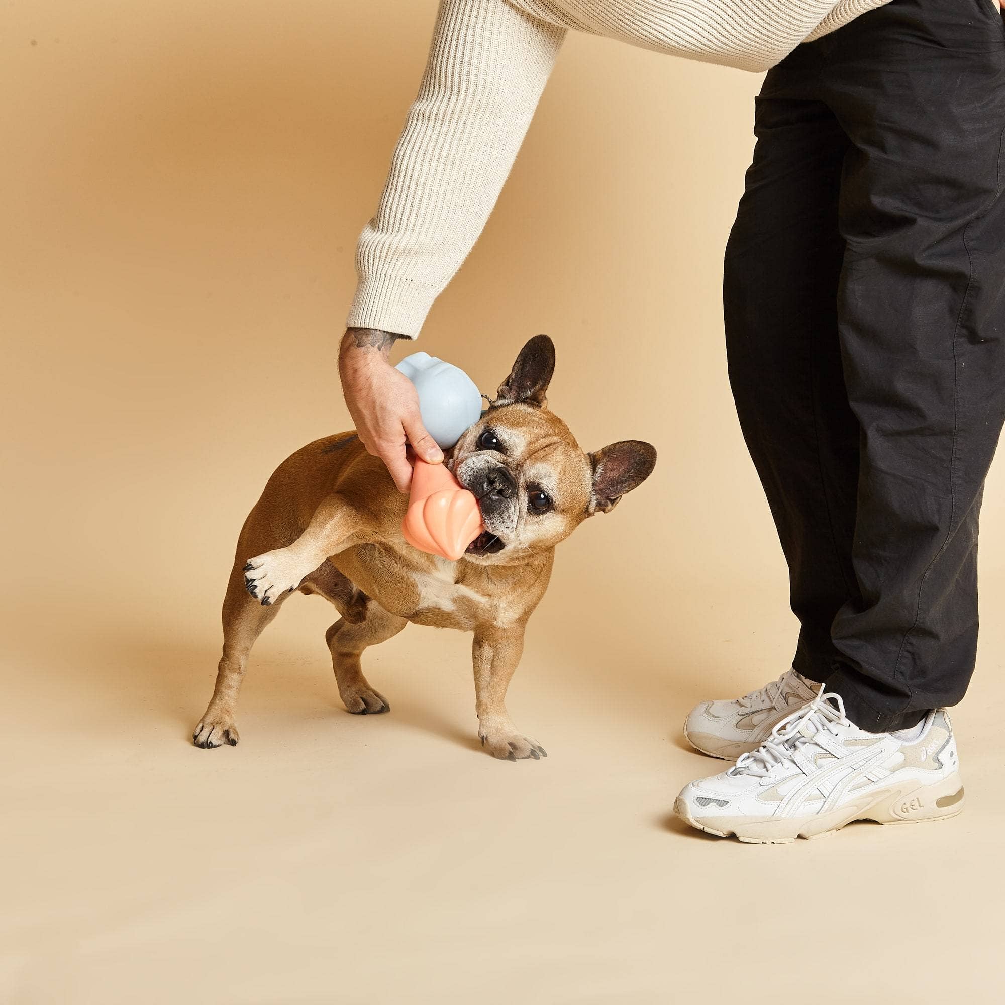 Whippy Squeaky Dog Toy